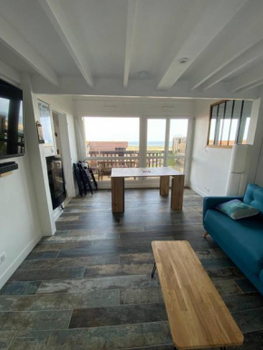 Splendide appartement vue océan le Penon